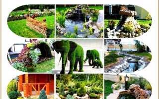 Участок перед баней: как обустроить красивый двор