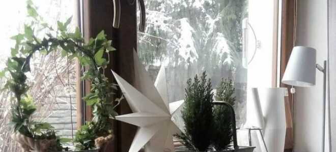 Как украсить подоконник: примеры на фото